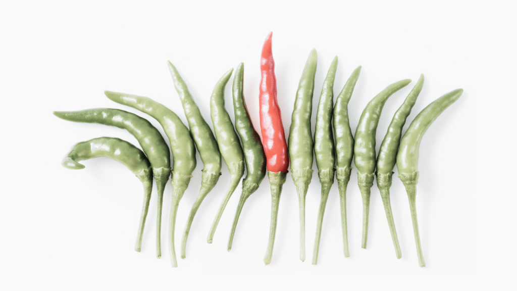 un piment rouge au milieu de piments verts