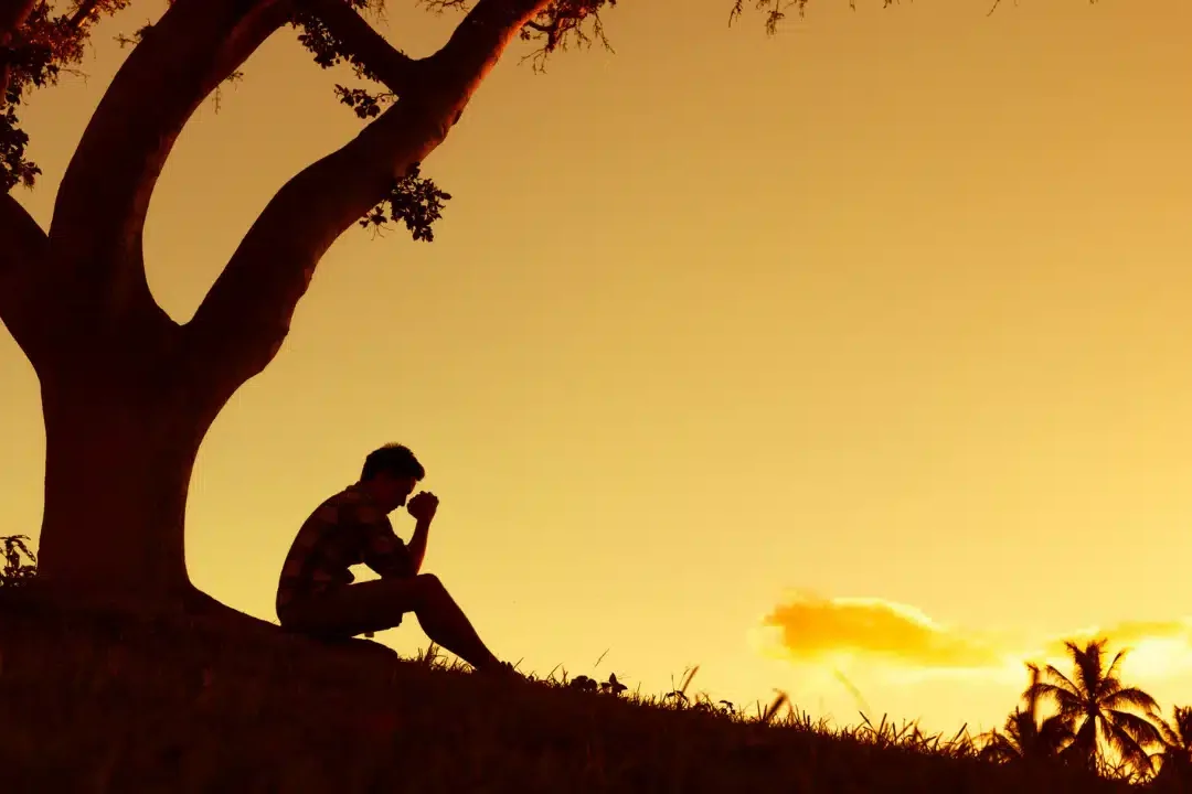 homme-assis-arbre