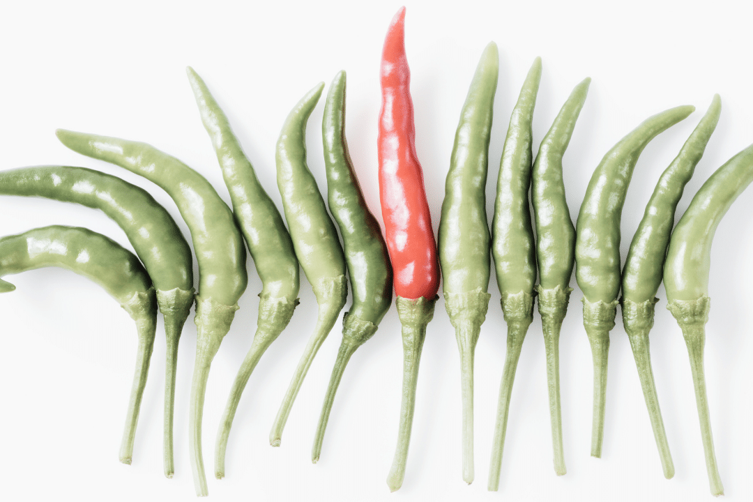 un piment rouge au milieu de piments verts