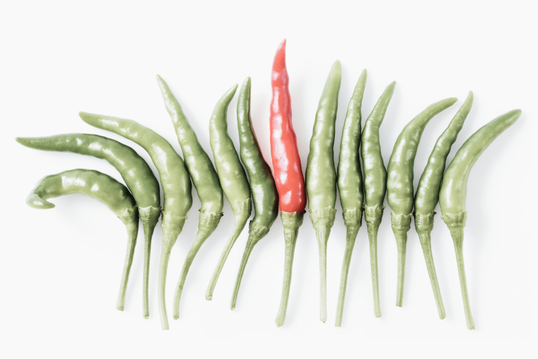 un piment rouge au milieu de piments verts